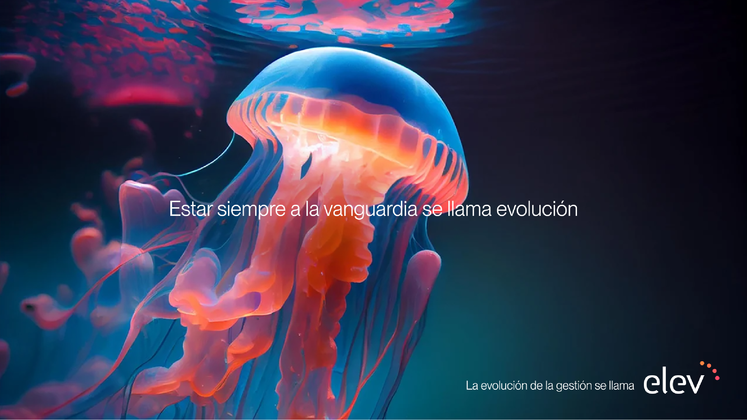 Frase de marca 1 - Elev