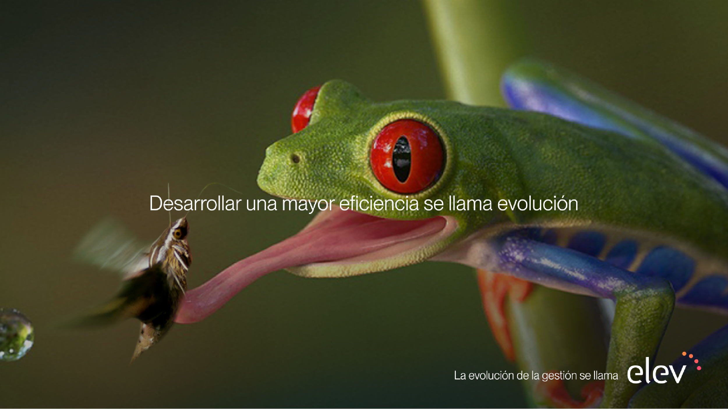Frase de marca 2 - Elev