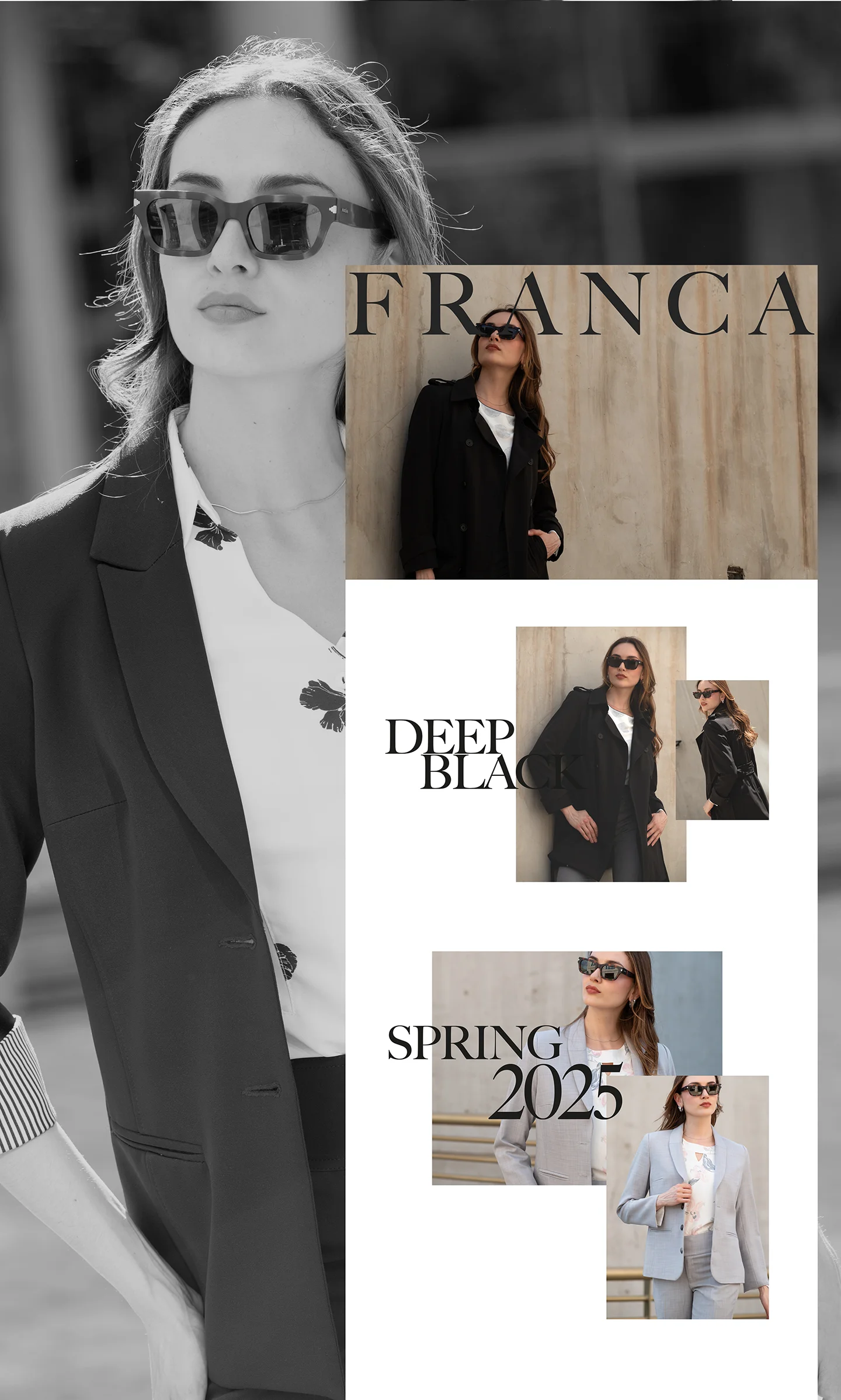 Diseño web - Franca