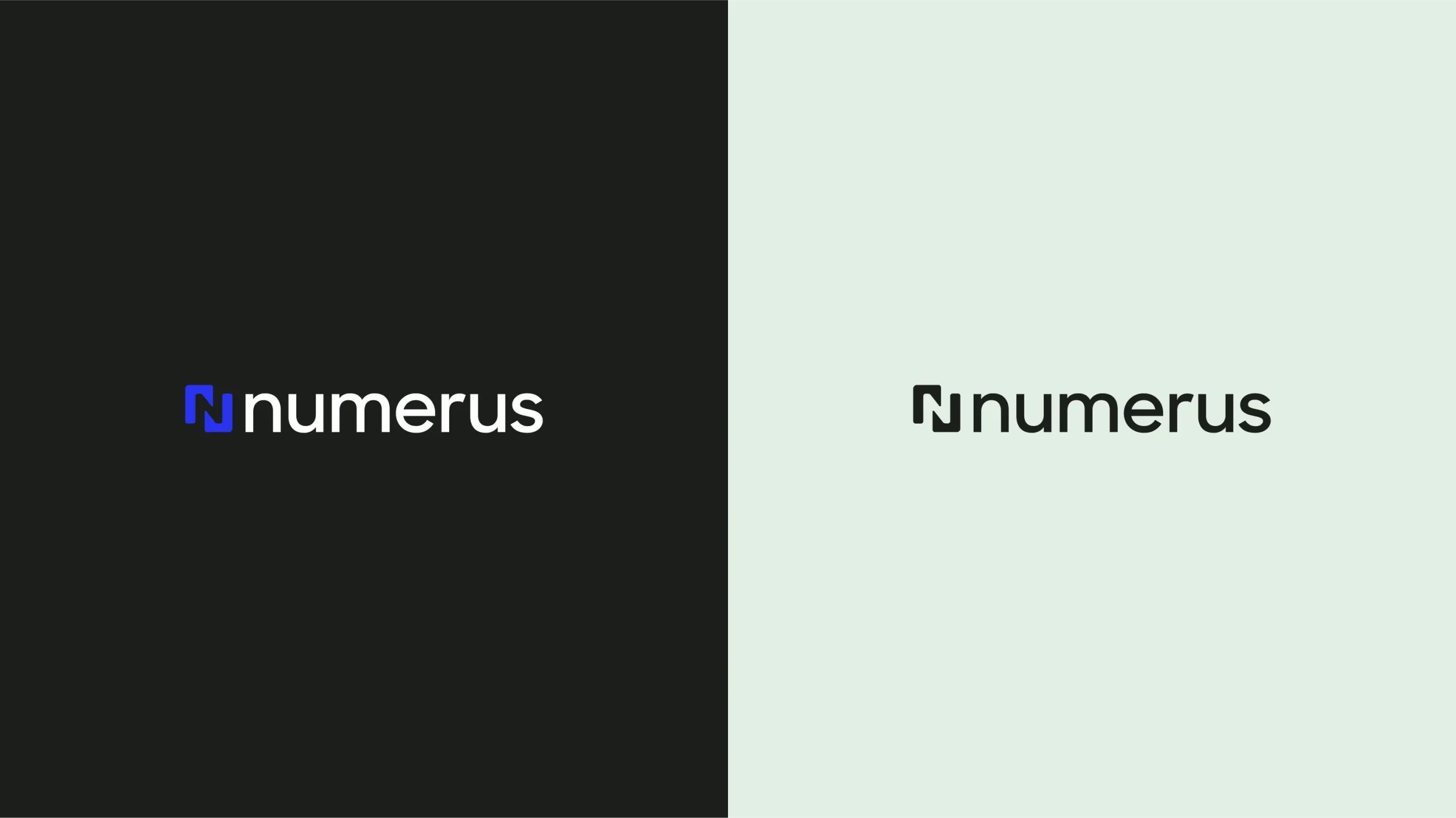 Detalle de logo - Numerus
