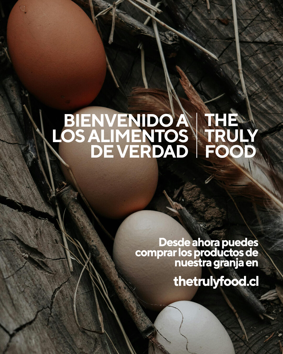 Mockup web — The Truly Food
