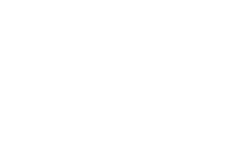 Logo calado
